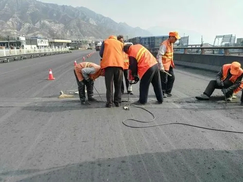 朝天道路桥梁病害治理